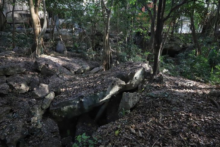 Ambientalistas y científicos piden consulta sobre el tramo 5 del Tren Maya